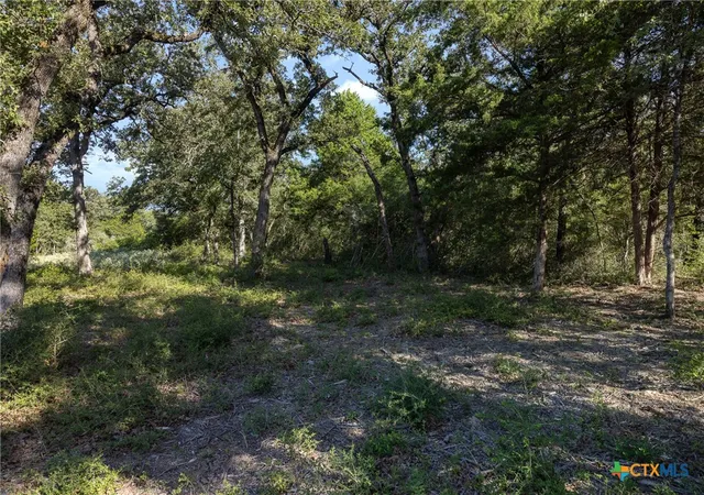 Photo 3 of House for sale at 180 Autumn Oak Ct, Caldwell, TX 77836 | MLS# 623845 | Listing updated on 2026-08-28