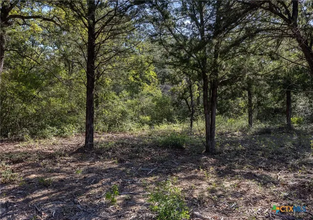 Photo 4 of House for sale at 180 Autumn Oak Ct, Caldwell, TX 77836 | MLS# 623845 | Listing updated on 2026-08-28
