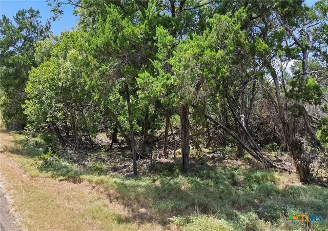 Photo 2 of Land for sale at 0 Prickly Pear, Belton, TX 76513 | MLS# 623859 | Listing updated on 2026-08-31