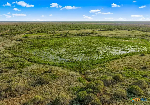 Photo 3 of House for sale at 000 Fm 239, Tivoli, TX 77990 | MLS# 623591 | Listing updated on 2026-09-01