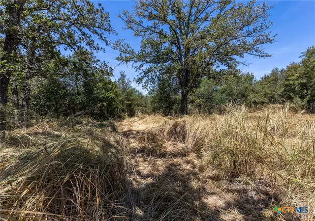 Land for sale at 10 Gander Sloough, Kingsbury, TX 78638 | MLS# 623939