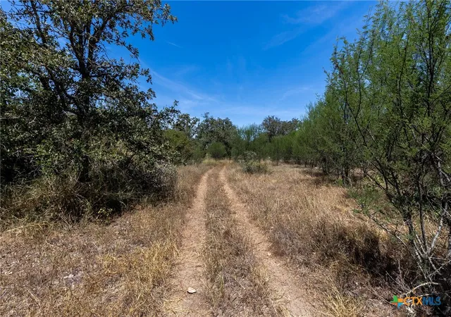 Photo 3 of Land for sale at 10 Gander Sloough, Kingsbury, TX 78638 | MLS# 623939 | Listing updated on 2026-08-31