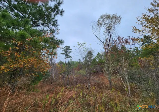 Photo 2 of Land for sale at Tbd Mahalo Ct, Bastrop, TX 78602 | MLS# 623957 | Listing updated on 2026-08-30