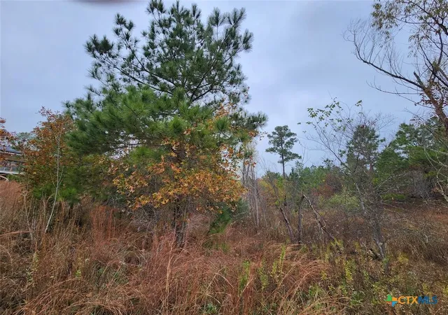 Photo 3 of Land for sale at Tbd Mahalo Ct, Bastrop, TX 78602 | MLS# 623957 | Listing updated on 2026-08-30