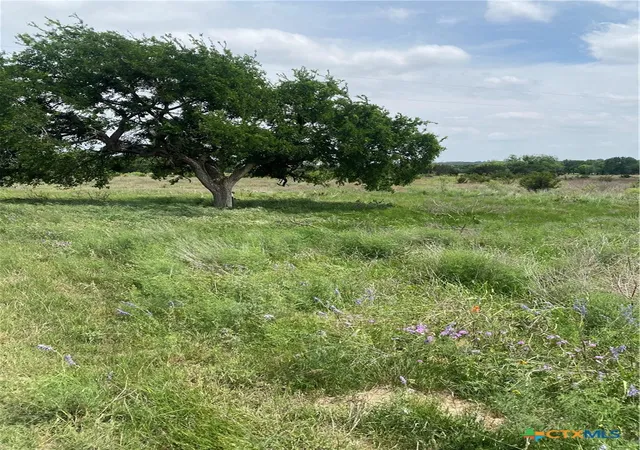 Photo 3 of Land for sale at 305 County Rd 2227, Lampasas, TX 76550 | MLS# 624033 | Listing updated on 2026-08-31