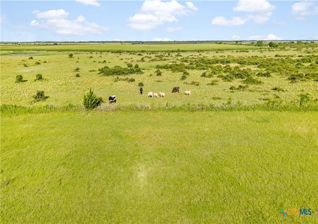 Photo 4 of Land for sale at 00 Cr 311, Louise, TX 77455 | MLS# 623083 | Listing updated on 2026-09-01