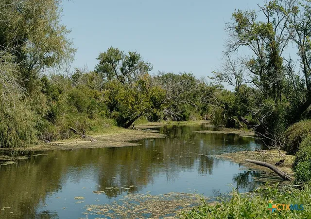 Photo 4 of Land for sale at Lot 230 Tract 10 Guadalupe River Rd, Tivoli, TX 77990 | MLS# 624130 | Listing updated on 2026-09-04