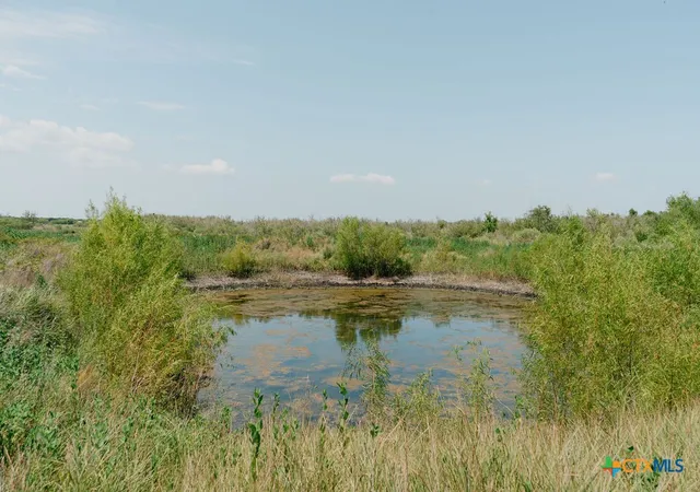 Photo 3 of Land for sale at Lot 238 Tract 9 Guadalupe River Rd, Tivoli, TX 77990 | MLS# 623947 | Listing updated on 2026-09-04