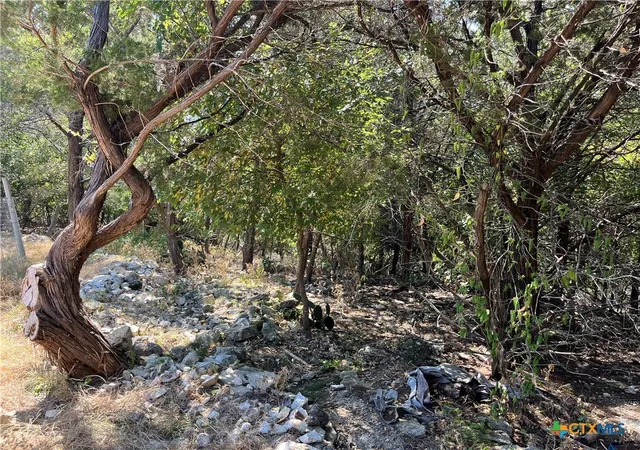 Photo 4 of Land for sale at 6692 Valley Dr, Belton, TX 76513 | MLS# 624208 | Listing updated on 2026-09-01