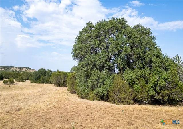 Photo 2 of Land for sale at 0 County Rd 2659, Lometa, TX 76853 | MLS# 624221 | Listing updated on 2026-09-08
