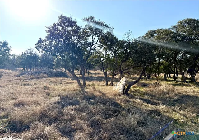 Photo 2 of Land for sale at Tbd County Rd 233, Florence, TX 78633 | MLS# 624249 | Listing updated on 2026-09-04
