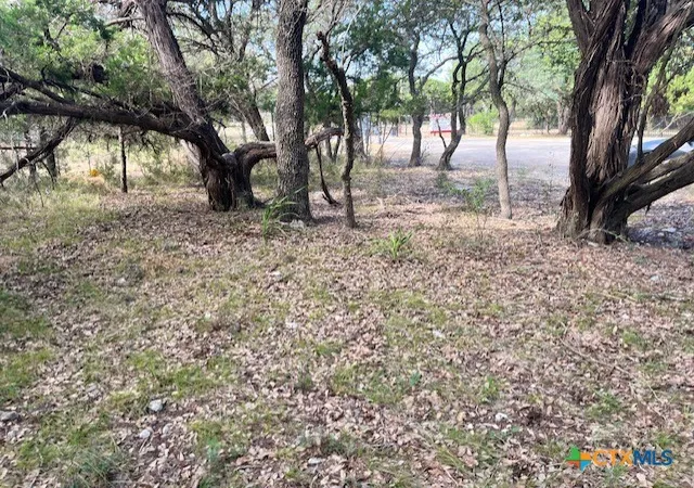 Photo 3 of Land for sale at 0 Lakepark Dr, Pipe Creek, TX 78063 | MLS# 624205 | Listing updated on 2026-09-02