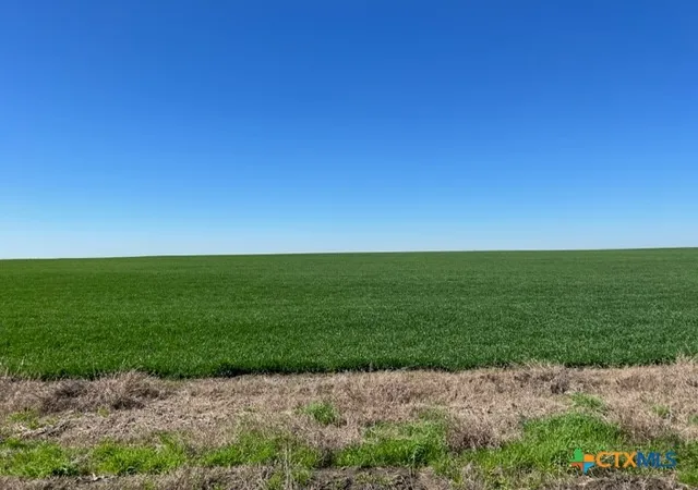 Land for sale at Tract 3 County Rd 355, Rosebud, TX 76519 | MLS# 624124