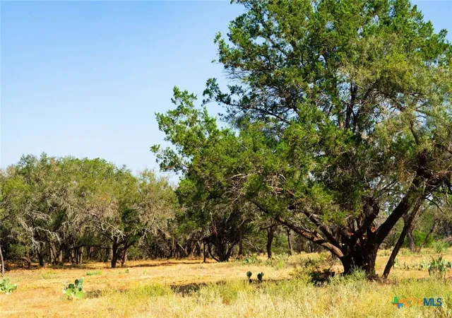 Photo 4 of Land for sale at 0000 Old Fry Rd, Spicewood, TX 78669 | MLS# 624431 | Listing updated on 2026-09-04