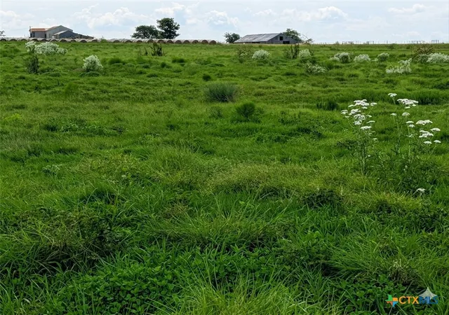 Photo 3 of Sale Pending at 135 County Rd 360, Gatesville, TX 76528 | MLS# 624540 | Listing updated on 2026-09-14