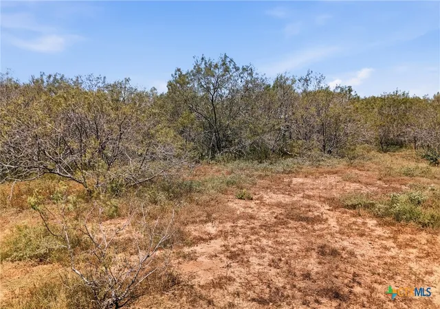 Photo 3 of Land for sale at 821 Cr 482, Gonzales, TX 78629 | MLS# 624662 | Listing updated on 2026-09-08