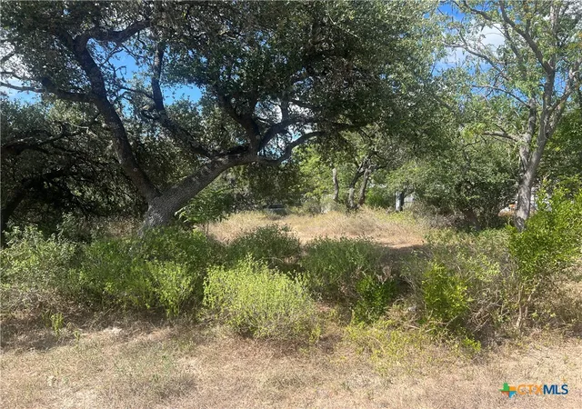 Photo 10 of Land for sale at 542/558 Flintstone Dr, Canyon Lake, TX 78133 | MLS# 624436 | Listing updated on 2026-09-08