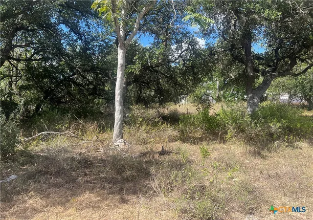 Photo 2 of Land for sale at 542/558 Flintstone Dr, Canyon Lake, TX 78133 | MLS# 624436 | Listing updated on 2026-09-15