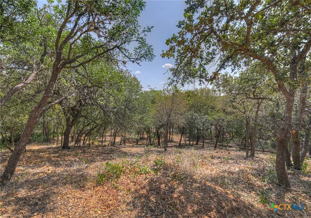 Photo 3 of Land for sale at 1019 Burleson St, San Marcos, TX 78666 | MLS# 624414 | Listing updated on 2026-09-08
