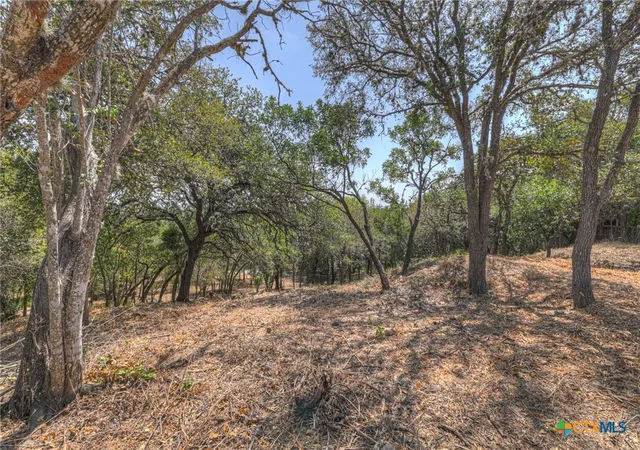 Photo 4 of Land for sale at 1019 Burleson St, San Marcos, TX 78666 | MLS# 624414 | Listing updated on 2026-09-08