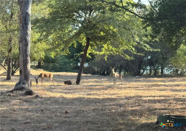 Photo 2 of Single family home for sale at 5008 Lakeaire Cir, Temple, TX 76502 | MLS# 624747 | Listing updated on 2026-09-23
