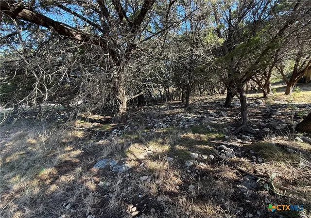 Photo 4 of Land for sale at 15920 Brazos Dr, Temple, TX 76502 | MLS# 624851 | Listing updated on 2026-09-15
