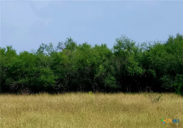 Photo 1 of Land for sale at 00 San Antonio River Rd, Victoria, TX 77905 | MLS# 624914 | Listing updated on 2026-09-11