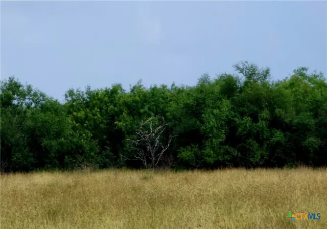 Photo 4 of Land for sale at 00 San Antonio River Rd, Victoria, TX 77905 | MLS# 624914 | Listing updated on 2026-09-11