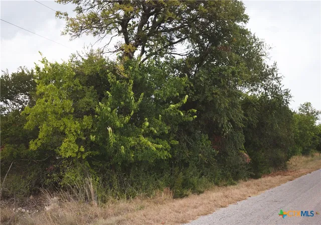 Photo 3 of Land for sale at 5865 County Rd 2600, Lometa, TX 76853 | MLS# 625031 | Listing updated on 2026-09-15