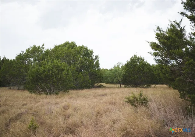 Photo 3 of Land for sale at 5865 County Rd 2600, Lometa, TX 76853 | MLS# 625031 | Listing updated on 2026-09-11