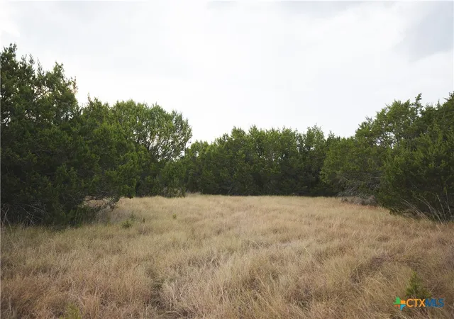Photo 4 of Land for sale at 5865 County Rd 2600, Lometa, TX 76853 | MLS# 625031 | Listing updated on 2026-09-11