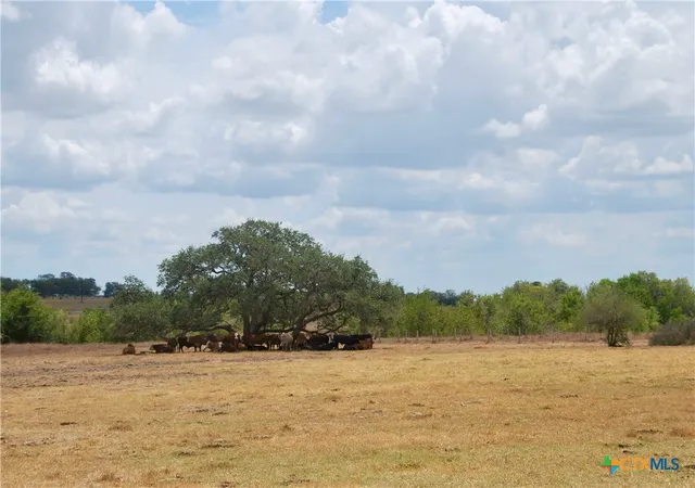 Photo 2 of House for sale at Tract 3 County Rd 366, Shiner, TX 77984 | MLS# 625043 | Listing updated on 2026-09-11