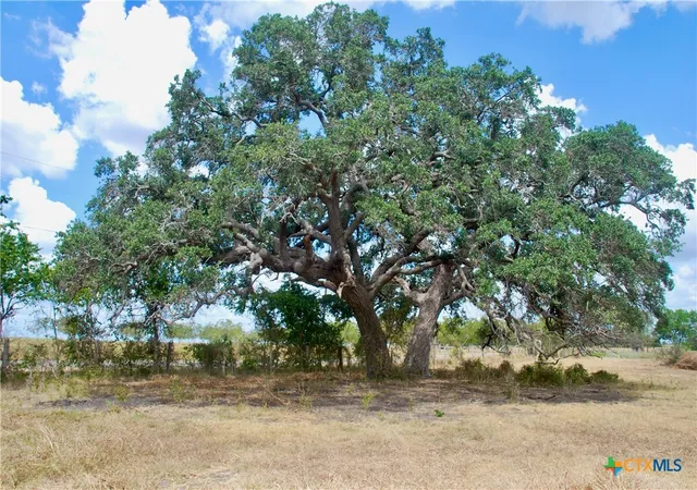Photo 1 of House for sale at Tract 4 County Rd 366, Shiner, TX 77984 | MLS# 625075 | Listing updated on 2026-09-12