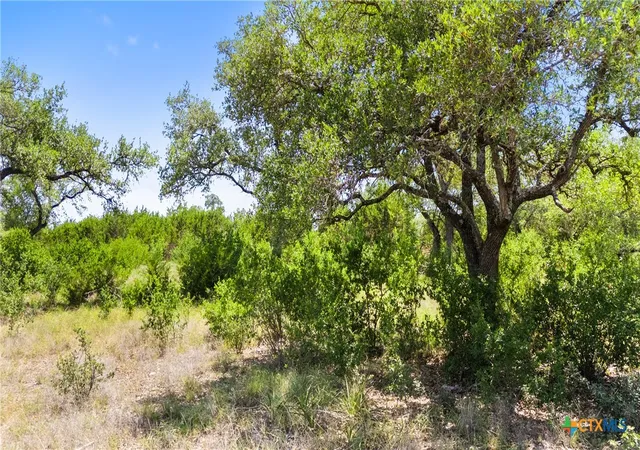 Photo 4 of Land for sale at 2153 San Jose Way, Canyon Lake, TX 78133 | MLS# 625192 | Listing updated on 2026-09-14