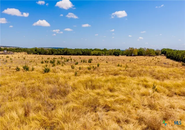 Photo 1 of Land for sale at 00 County Rd 2644, Lometa, TX 76853 | MLS# 625291 | Listing updated on 2026-09-15