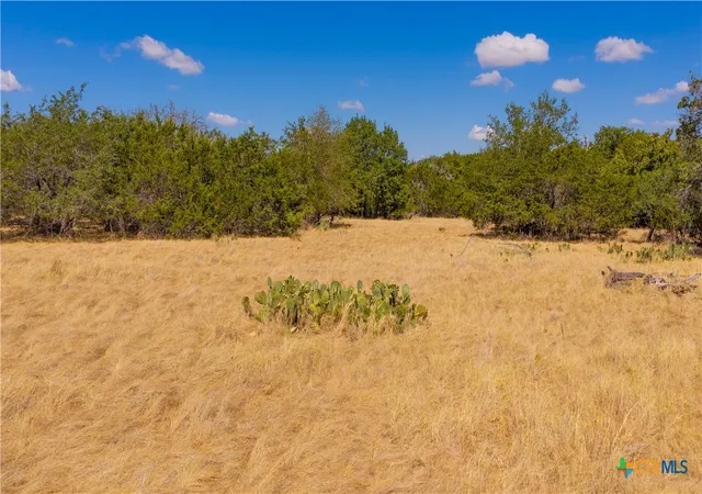 Photo 3 of Land for sale at 00 County Rd 2644, Lometa, TX 76853 | MLS# 625291 | Listing updated on 2026-09-15