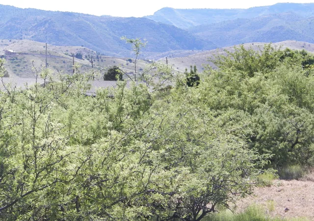 Photo 1 of Land for sale at 2070 Crossroads Blvd #128, Clarkdale, AZ 86324 | MLS# 7074252 | Listing updated on 2026-09-03