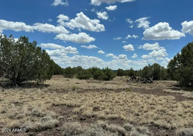 Photo 4 of Land for sale at 3459 N Randall Blvd, Williams, AZ 86046 | MLS# 7074719 | Listing updated on 2026-09-02