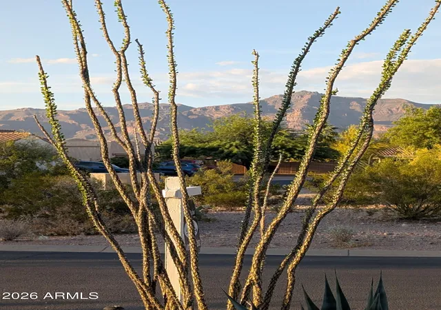 Photo 3 of Single family home for sale at 10691 E Surveyor Ct, Gold Canyon, AZ 85118 | MLS# 7062954 | Listing updated on 2026-09-17