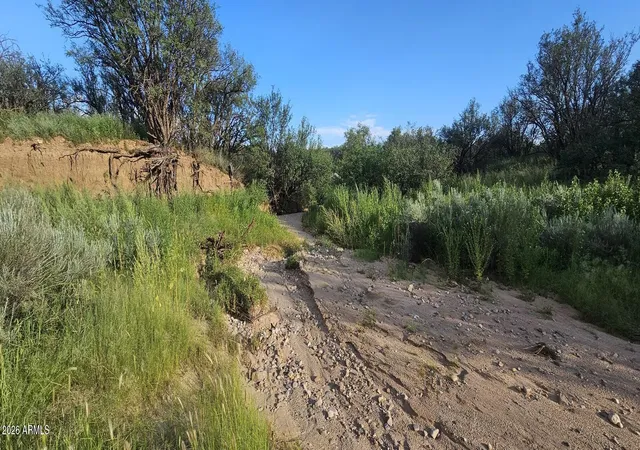 Photo 13 of Sale Pending at 20ac E Canada Dr, Sierra Vista, AZ 85650 | MLS# 7074148 | Listing updated on 2026-09-09