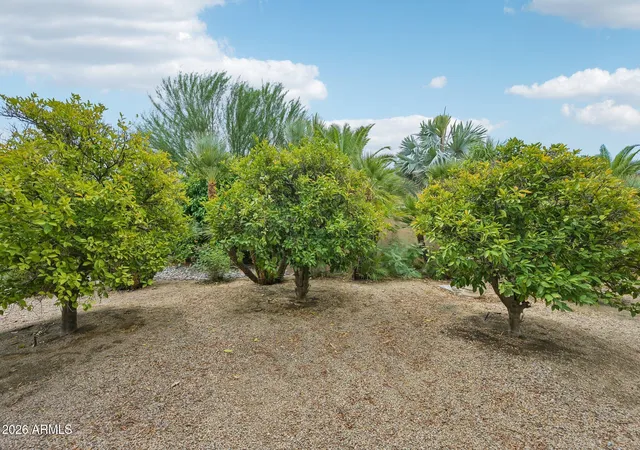 Photo 24 of Single family home for sale at 12909 W Pontiac Dr, Sun City West, AZ 85375 | MLS# 7074117 | Listing updated on 2026-09-13