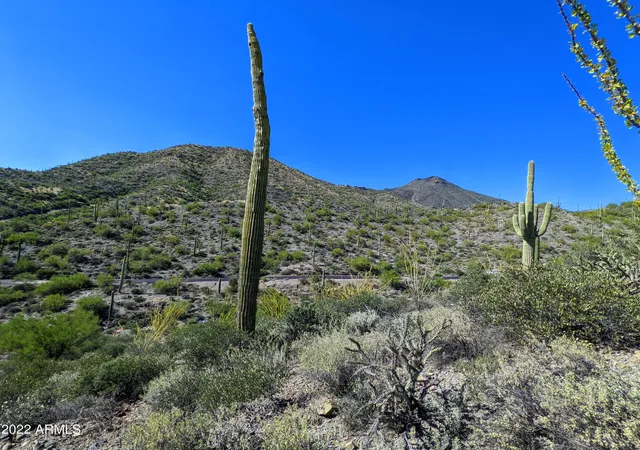Photo 2 of Land for sale at 41347 N Longhorn Dr #11, Scottsdale, AZ 85262 | MLS# 7074251 | Listing updated on 2026-09-01