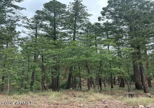 Photo 1 of Land for sale at 15 N Buttermilk Ln #52, Alpine, AZ 85920 | MLS# 7074783 | Listing updated on 2026-09-02
