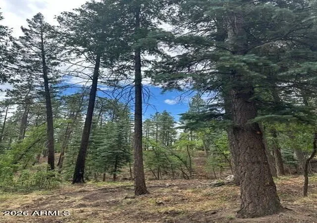 Photo 2 of Land for sale at 15 N Buttermilk Ln #52, Alpine, AZ 85920 | MLS# 7074783 | Listing updated on 2026-09-02