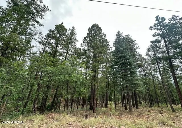 Photo 3 of Land for sale at 15 N Buttermilk Ln #52, Alpine, AZ 85920 | MLS# 7074783 | Listing updated on 2026-09-02
