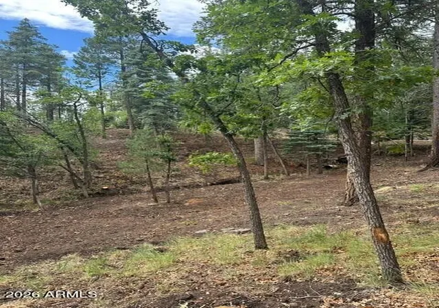 Photo 3 of Land for sale at 15 N Buttermilk Ln #52, Alpine, AZ 85920 | MLS# 7074783 | Listing updated on 2026-09-02