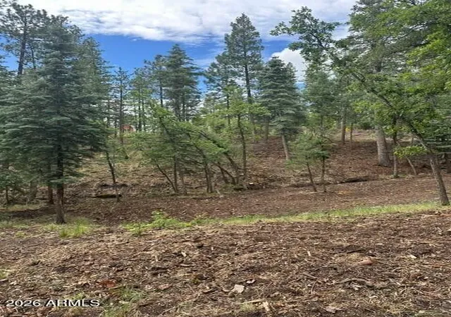 Photo 4 of Land for sale at 15 N Buttermilk Ln #52, Alpine, AZ 85920 | MLS# 7074783 | Listing updated on 2026-09-02