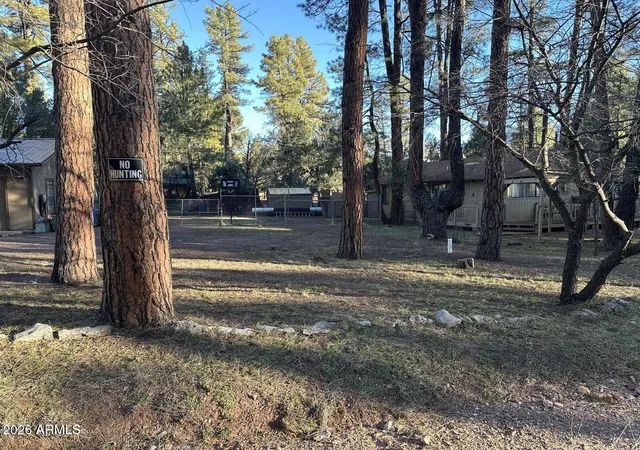Photo 1 of Single family home for sale at 6384 W Jan Dr, Pine, AZ 85544 | MLS# 7074318 | Listing updated on 2026-09-02