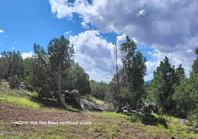 Photo 3 of Sale Pending at 1017 S Flt Tire Rd #1017, Williams, AZ 86046 | MLS# 7074340 | Listing updated on 2026-09-06