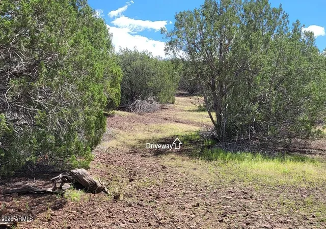 Photo 4 of Sale Pending at 1017 S Flt Tire Rd #1017, Williams, AZ 86046 | MLS# 7074340 | Listing updated on 2026-09-06